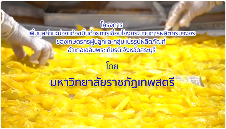 โครงการ การเพิ่มมูลค่ามะม่วงแก้วขมิ้น( ตอน 1)
