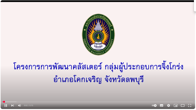 การพัฒนาคลัสเตอร์กลุ่มผู้ประกอบการจิ้งโกร่งตำบลท่าหลวง อำเภอท่าหลวง จังหวัดลพบุรี
