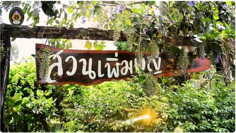 การพัฒนาและถ่ายทอดเทคโนโลยีการแปรรูปผลิตภัณฑ์จากสมุนไพรคู่บ้านเพื่อยกระดับรายได้